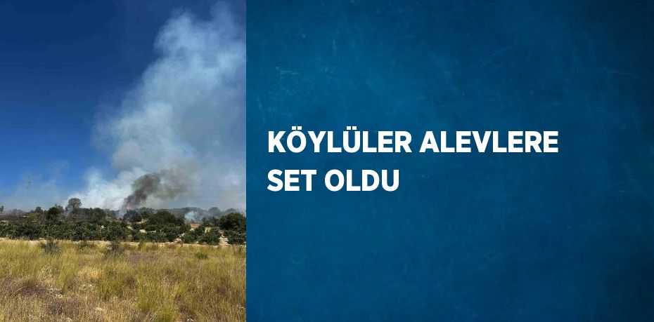 KÖYLÜLER ALEVLERE SET OLDU