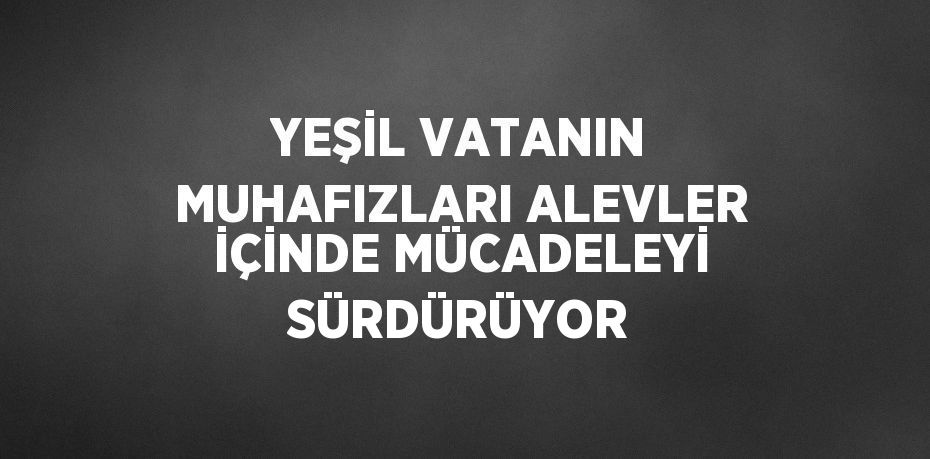 YEŞİL VATANIN MUHAFIZLARI ALEVLER İÇİNDE MÜCADELEYİ SÜRDÜRÜYOR