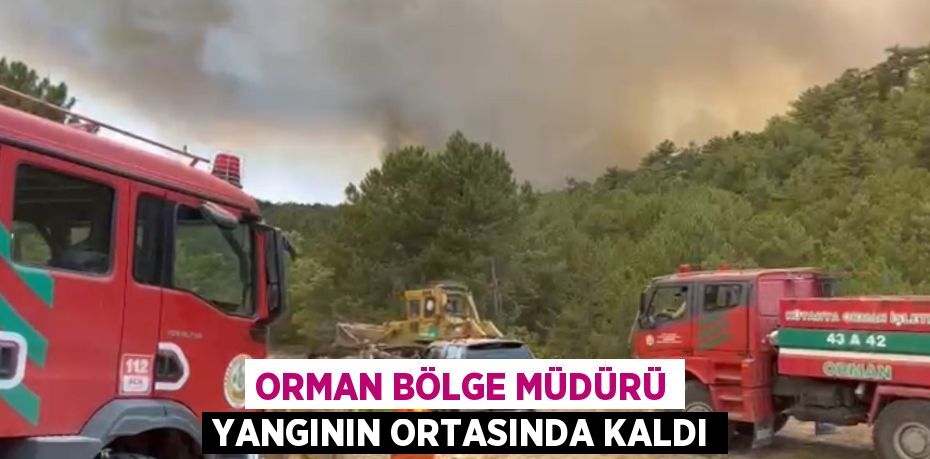 ORMAN BÖLGE MÜDÜRÜ YANGININ ORTASINDA KALDI