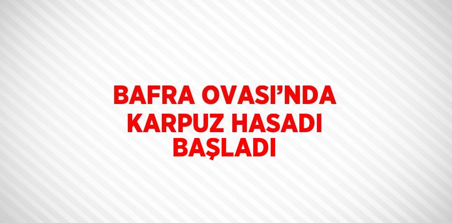 BAFRA OVASI’NDA KARPUZ HASADI BAŞLADI