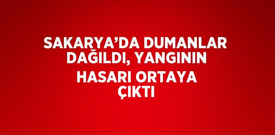 SAKARYA’DA DUMANLAR DAĞILDI, YANGININ HASARI ORTAYA ÇIKTI