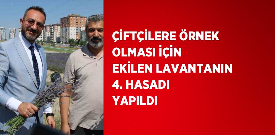 ÇİFTÇİLERE ÖRNEK OLMASI İÇİN EKİLEN LAVANTANIN 4. HASADI YAPILDI