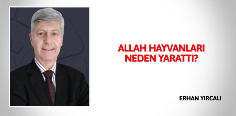 ALLAH  HAYVANLARI  NEDEN YARATTI?