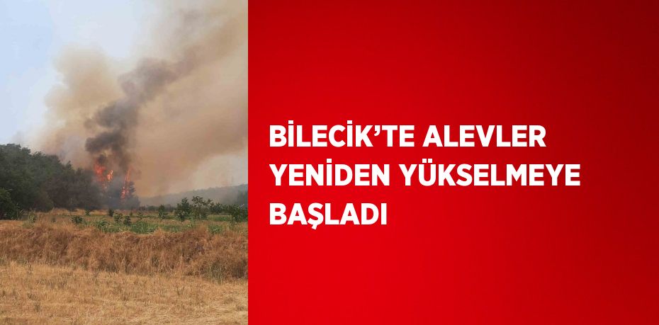 BİLECİK’TE ALEVLER YENİDEN YÜKSELMEYE BAŞLADI
