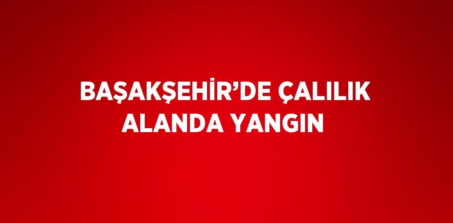 BAŞAKŞEHİR’DE ÇALILIK ALANDA YANGIN