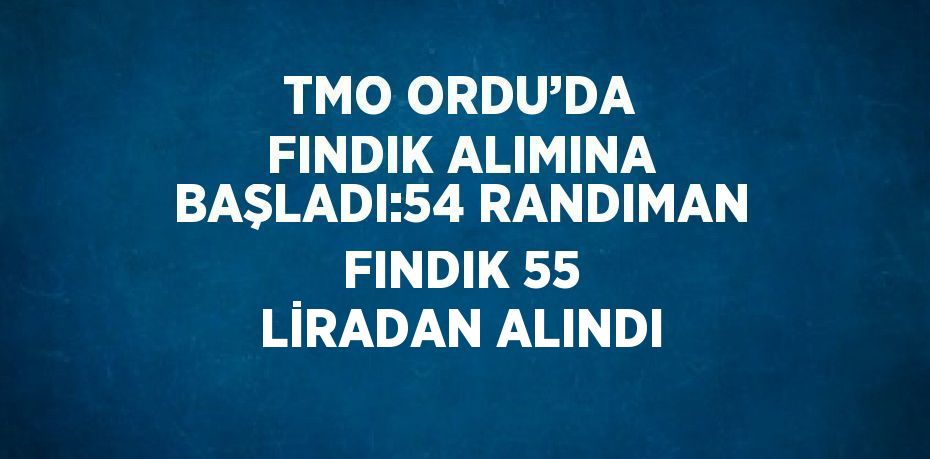 TMO ORDU’DA FINDIK ALIMINA BAŞLADI:54 RANDIMAN FINDIK 55 LİRADAN ALINDI