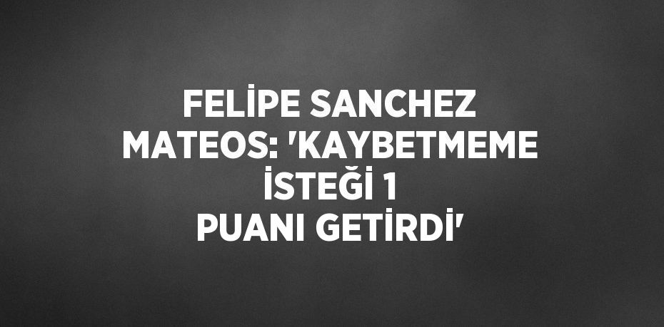 FELİPE SANCHEZ MATEOS: 'KAYBETMEME İSTEĞİ 1 PUANI GETİRDİ'