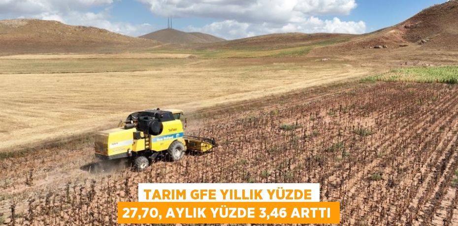 TARIM GFE YILLIK YÜZDE 27,70, AYLIK YÜZDE 3,46 ARTTI