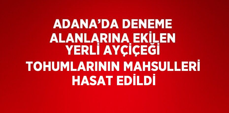 ADANA’DA DENEME ALANLARINA EKİLEN YERLİ AYÇİÇEĞİ TOHUMLARININ MAHSULLERİ HASAT EDİLDİ