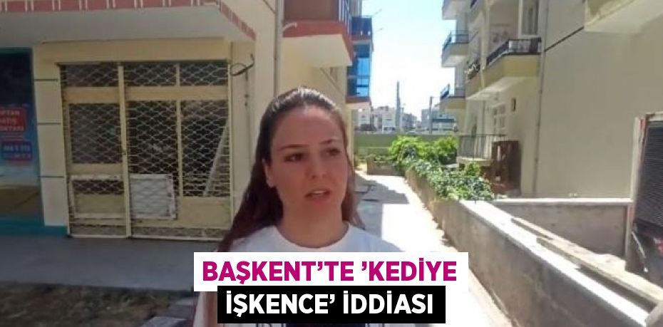 BAŞKENT’TE ’KEDİYE İŞKENCE’ İDDİASI