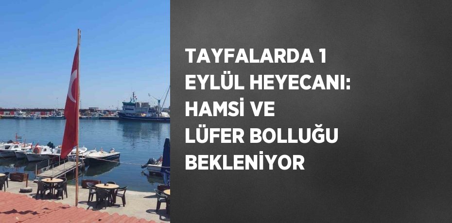 TAYFALARDA 1 EYLÜL HEYECANI: HAMSİ VE LÜFER BOLLUĞU BEKLENİYOR