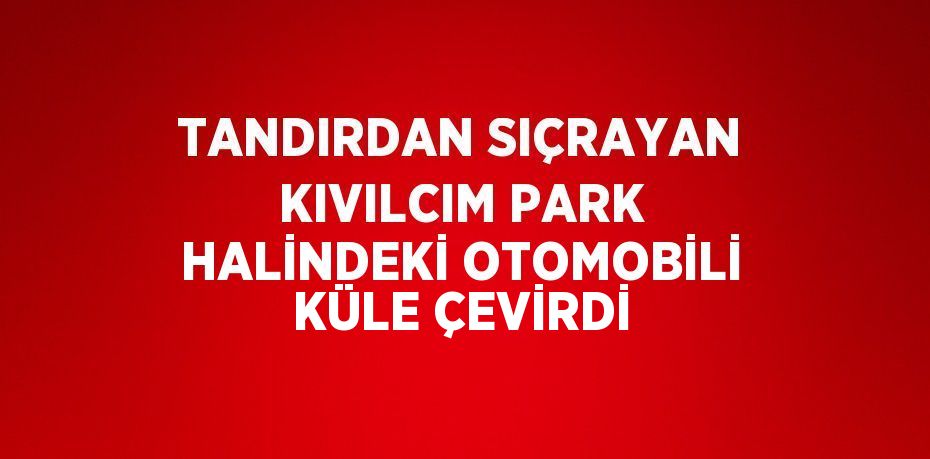 TANDIRDAN SIÇRAYAN KIVILCIM PARK HALİNDEKİ OTOMOBİLİ KÜLE ÇEVİRDİ