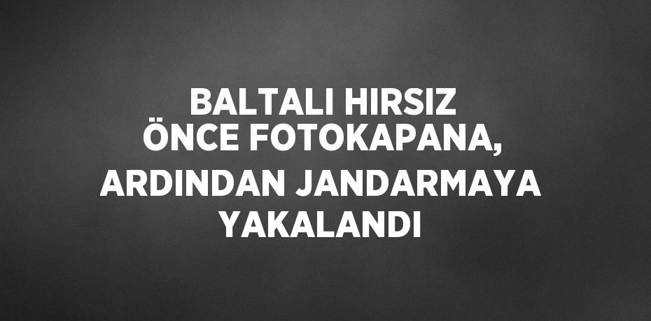 BALTALI HIRSIZ ÖNCE FOTOKAPANA, ARDINDAN JANDARMAYA YAKALANDI