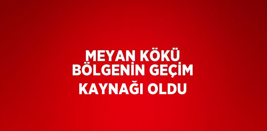 MEYAN KÖKÜ BÖLGENİN GEÇİM KAYNAĞI OLDU