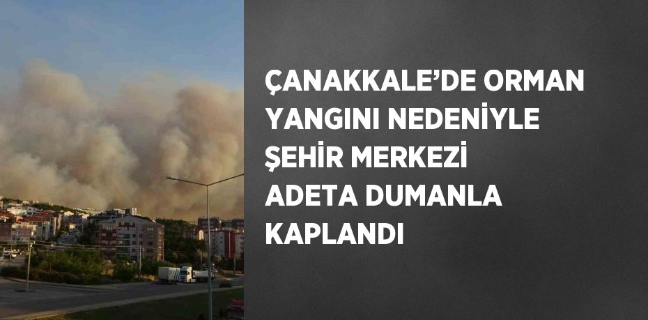 ÇANAKKALE’DE ORMAN YANGINI NEDENİYLE ŞEHİR MERKEZİ ADETA DUMANLA KAPLANDI