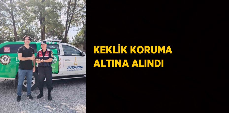 KEKLİK KORUMA ALTINA ALINDI