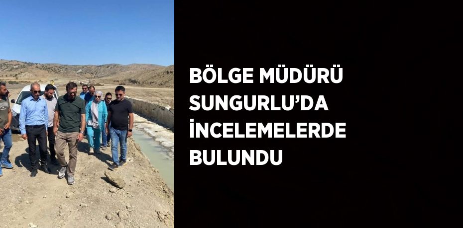 BÖLGE MÜDÜRÜ SUNGURLU’DA İNCELEMELERDE BULUNDU