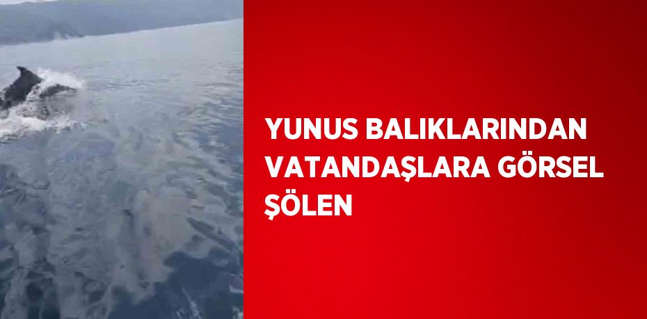 YUNUS BALIKLARINDAN VATANDAŞLARA GÖRSEL ŞÖLEN