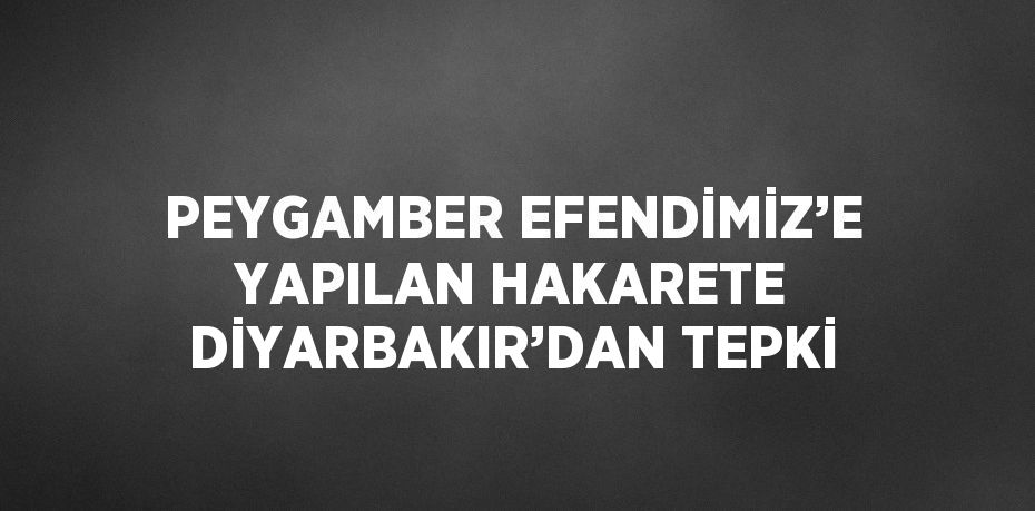 PEYGAMBER EFENDİMİZ’E YAPILAN HAKARETE DİYARBAKIR’DAN TEPKİ