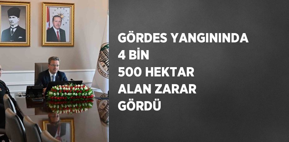 GÖRDES YANGININDA 4 BİN 500 HEKTAR ALAN ZARAR GÖRDÜ