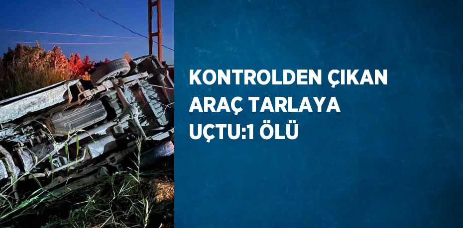 KONTROLDEN ÇIKAN ARAÇ TARLAYA UÇTU:1 ÖLÜ