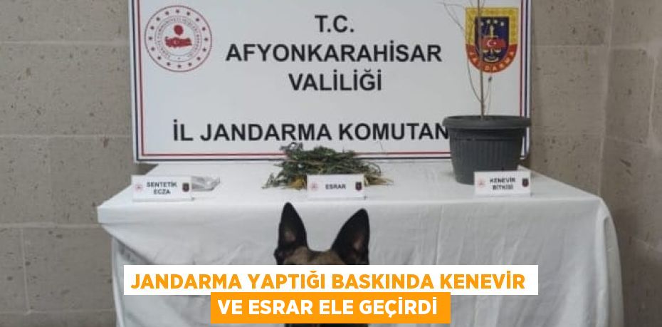 JANDARMA YAPTIĞI BASKINDA KENEVİR VE ESRAR ELE GEÇİRDİ