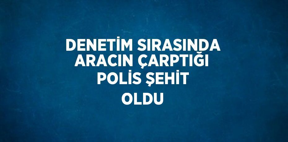 DENETİM SIRASINDA ARACIN ÇARPTIĞI POLİS ŞEHİT OLDU