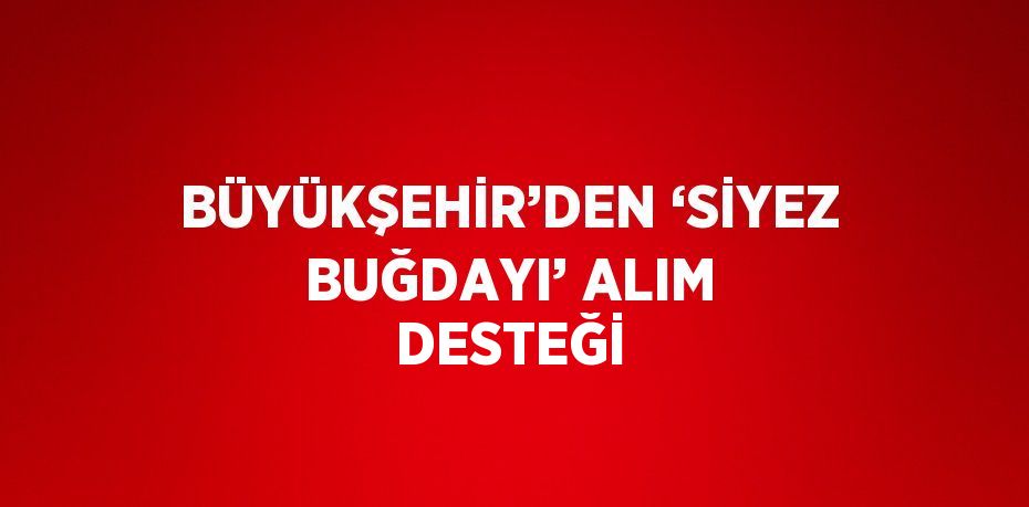 BÜYÜKŞEHİR’DEN ‘SİYEZ BUĞDAYI’ ALIM DESTEĞİ