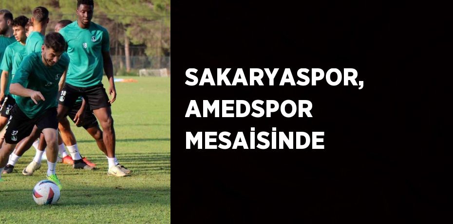 SAKARYASPOR, AMEDSPOR MESAİSİNDE