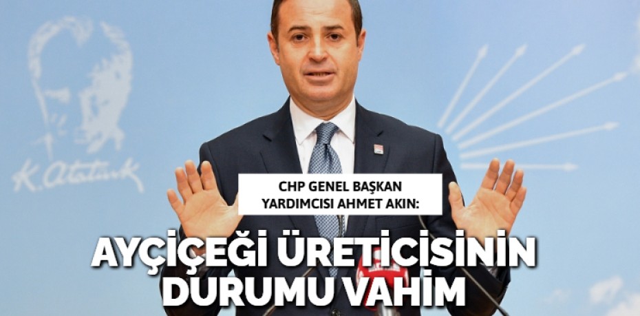 AYÇİÇEĞİ ÜRETİCİSİNİN  DURUMU VAHİM