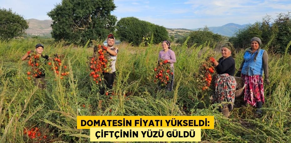 DOMATESİN FİYATI YÜKSELDİ:  ÇİFTÇİNİN YÜZÜ GÜLDÜ