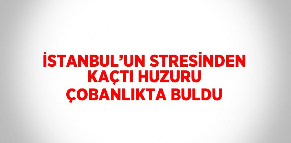 İSTANBUL’UN STRESİNDEN KAÇTI HUZURU ÇOBANLIKTA BULDU