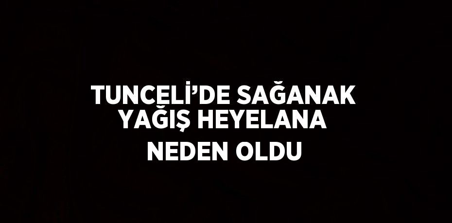 TUNCELİ’DE SAĞANAK YAĞIŞ HEYELANA NEDEN OLDU