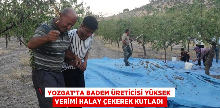 YOZGAT’TA BADEM ÜRETİCİSİ YÜKSEK VERİMİ HALAY ÇEKEREK KUTLADI