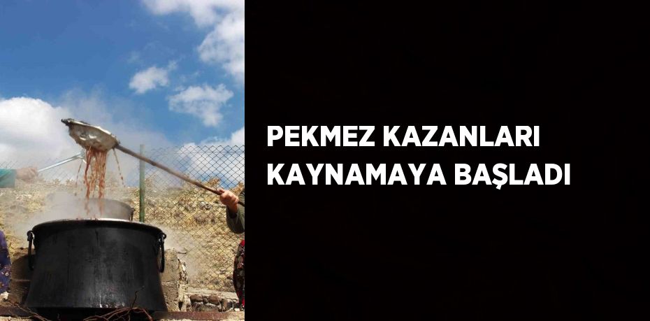 PEKMEZ KAZANLARI KAYNAMAYA BAŞLADI