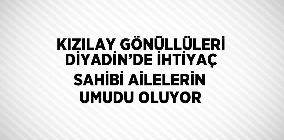 KIZILAY GÖNÜLLÜLERİ DİYADİN’DE İHTİYAÇ SAHİBİ AİLELERİN UMUDU OLUYOR