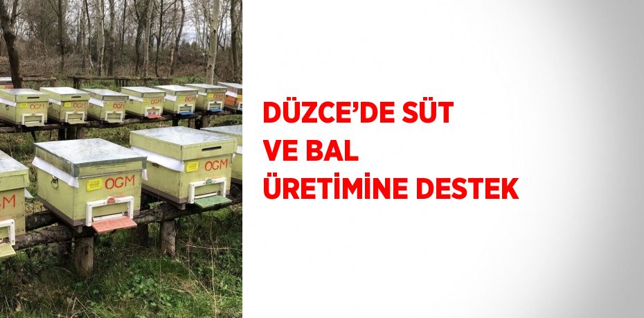 DÜZCE’DE SÜT VE BAL ÜRETİMİNE DESTEK