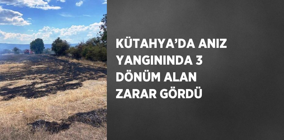 KÜTAHYA’DA ANIZ YANGININDA 3 DÖNÜM ALAN ZARAR GÖRDÜ