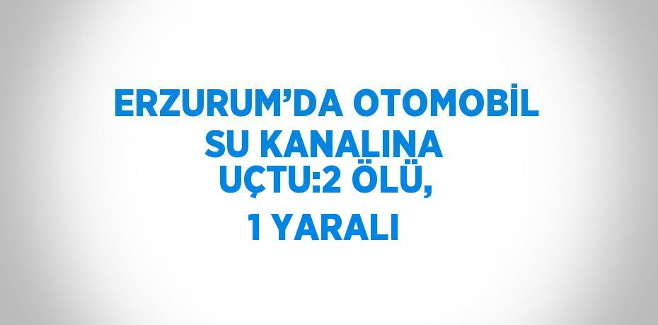 ERZURUM’DA OTOMOBİL SU KANALINA UÇTU:2 ÖLÜ, 1 YARALI