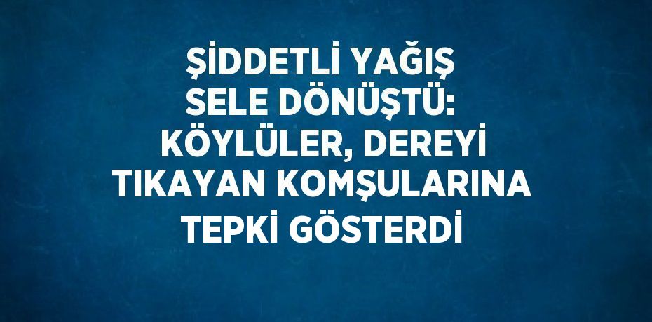 ŞİDDETLİ YAĞIŞ SELE DÖNÜŞTÜ: KÖYLÜLER, DEREYİ TIKAYAN KOMŞULARINA TEPKİ GÖSTERDİ