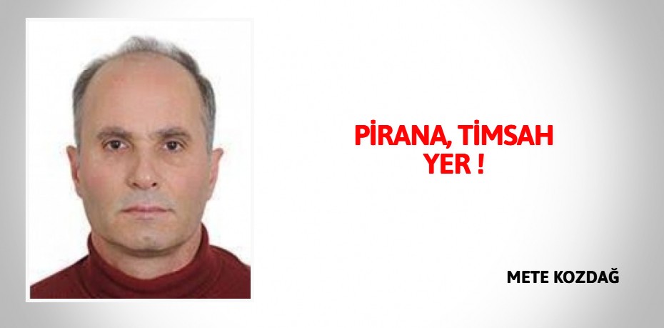 PİRANA, TİMSAH YER !