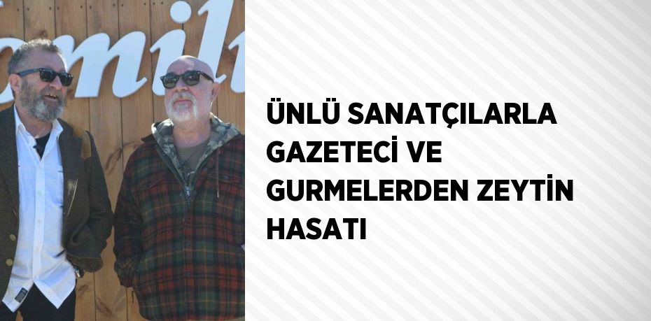 ÜNLÜ SANATÇILARLA GAZETECİ VE GURMELERDEN ZEYTİN HASATI