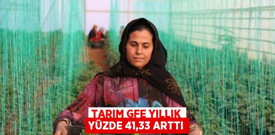 TARIM GFE YILLIK YÜZDE 41,33 ARTTI