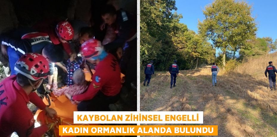 KAYBOLAN ZİHİNSEL ENGELLİ KADIN ORMANLIK ALANDA BULUNDU