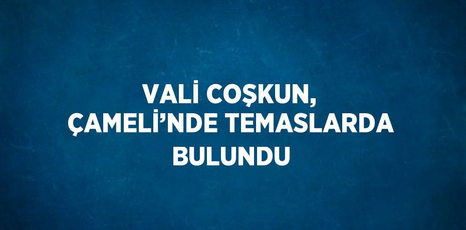 VALİ COŞKUN, ÇAMELİ’NDE TEMASLARDA BULUNDU