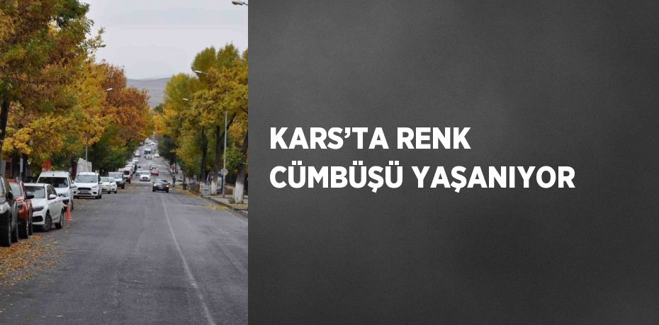 KARS’TA RENK CÜMBÜŞÜ YAŞANIYOR