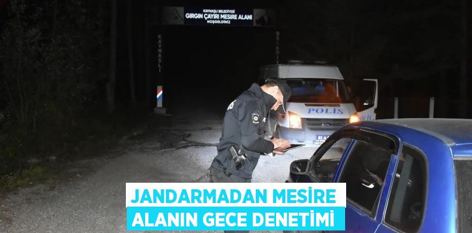 JANDARMADAN MESİRE ALANIN GECE DENETİMİ