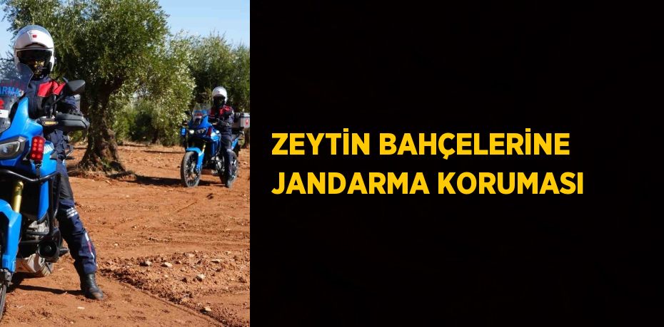 ZEYTİN BAHÇELERİNE JANDARMA KORUMASI