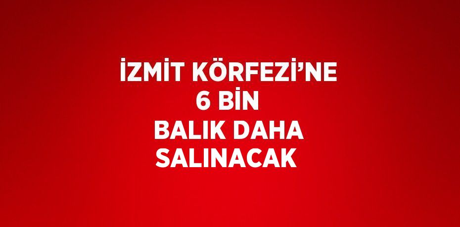 İZMİT KÖRFEZİ’NE 6 BİN BALIK DAHA SALINACAK