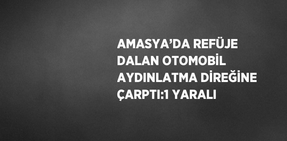 AMASYA’DA REFÜJE DALAN OTOMOBİL AYDINLATMA DİREĞİNE ÇARPTI:1 YARALI